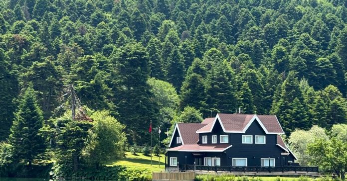 Bolu'nun Gizemi: Neden Birden Gündem Oldu?