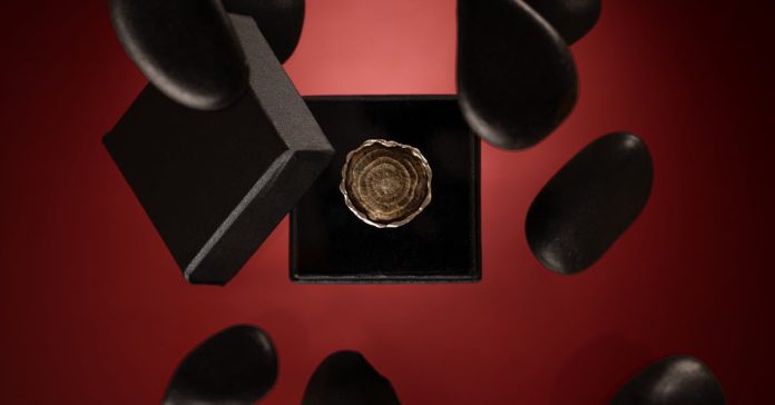 Gülşah Alyans: Trendlerin Ardındaki Gizem ve Detaylar
