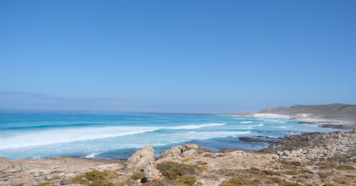Güney Afrika - Kanada: Vize, Göç ve Kariyer Rehberi