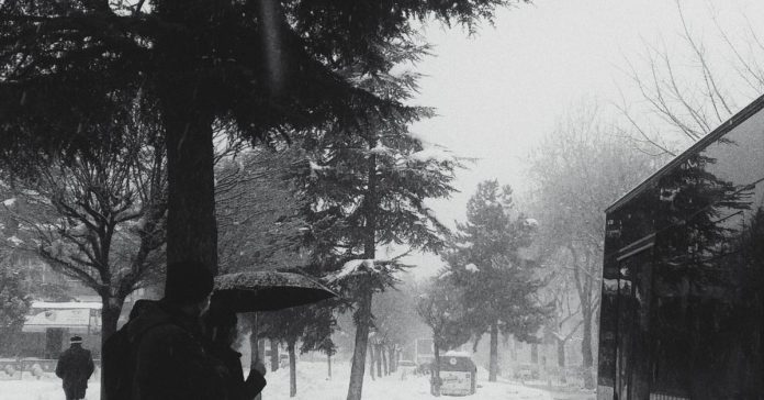 İşte TCMB'nin yaz planı ve yıl sonu faiz tahminleri