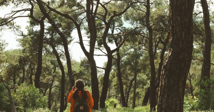 MEB'den Okullara Yeşil Vatan ÇevreFest'26 Duyurusu