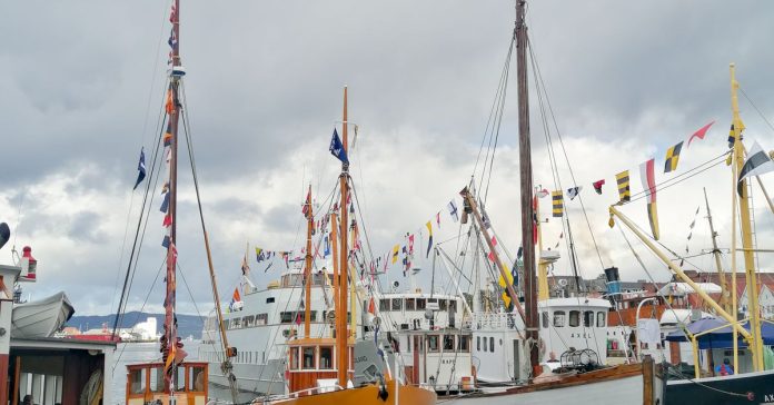 Norveç Fransa: Trendlerin Ötesinde Derinlemesine Bir Bakış