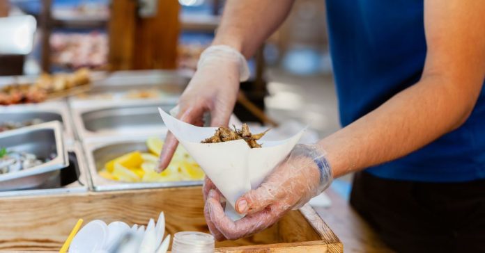 Salmonella: Belirtileri, Nedenleri, Tedavisi ve Korunma Yolları