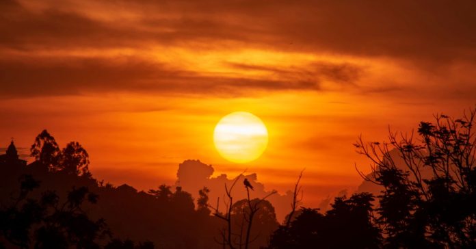 Uganda: Tanzanya'dan Afrika'nın Kalbine Bir Yolculuk