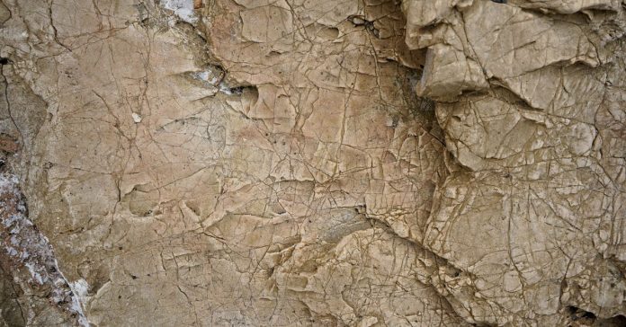 Dolandırıcılık Operasyonu: 307 Şüpheli Yakalandı