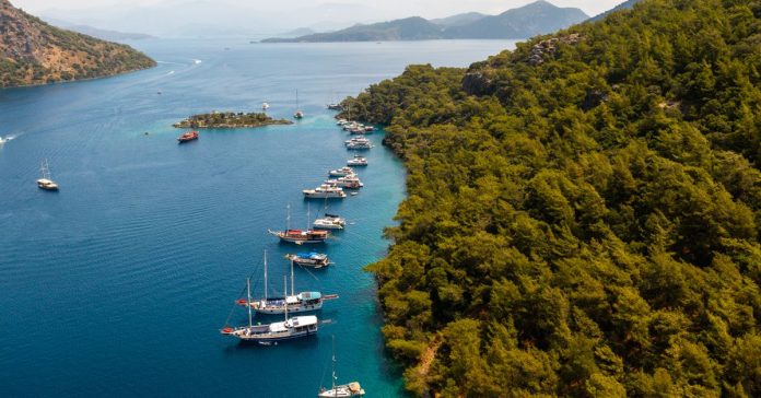 Muğla'da Güncel Durum: Neler Oluyor, Neler Bitecek?
