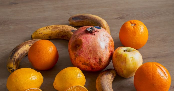 Yüksek Proteinli Lifli Beslenme: Sağlığa 5 Altın Kural