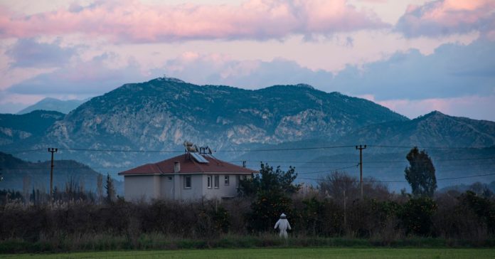 Zeytinliklere Güneş Paneli: Üretim mi, Enerji mi?